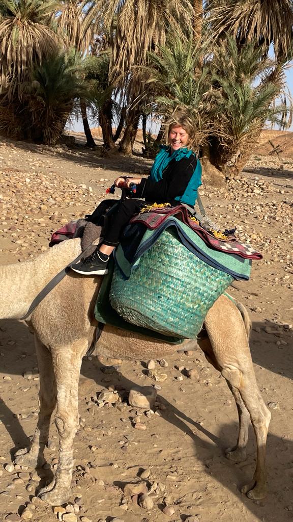 Dromedar Reiten Dromedar Reiten