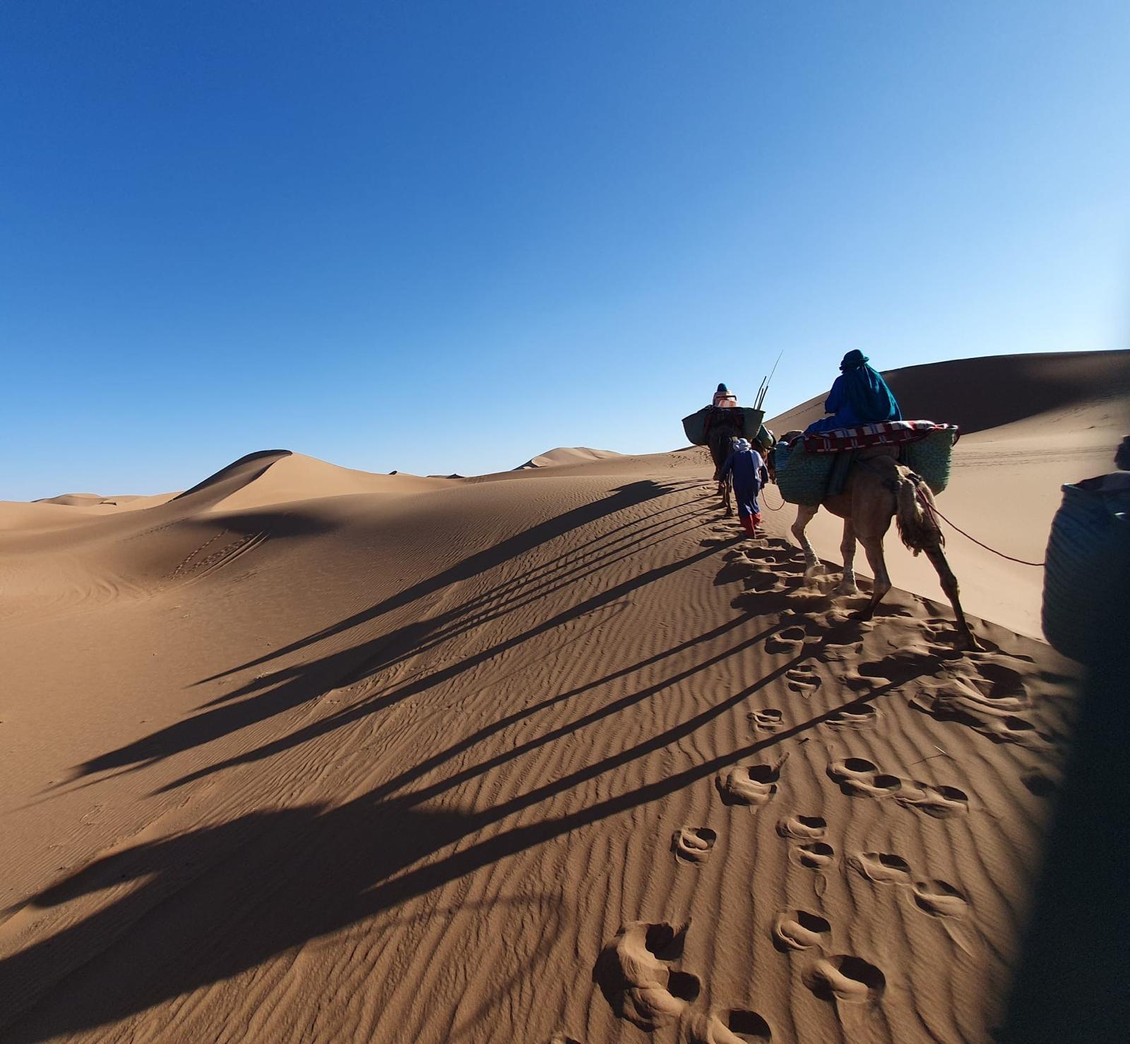 camelritt durch die Wüste