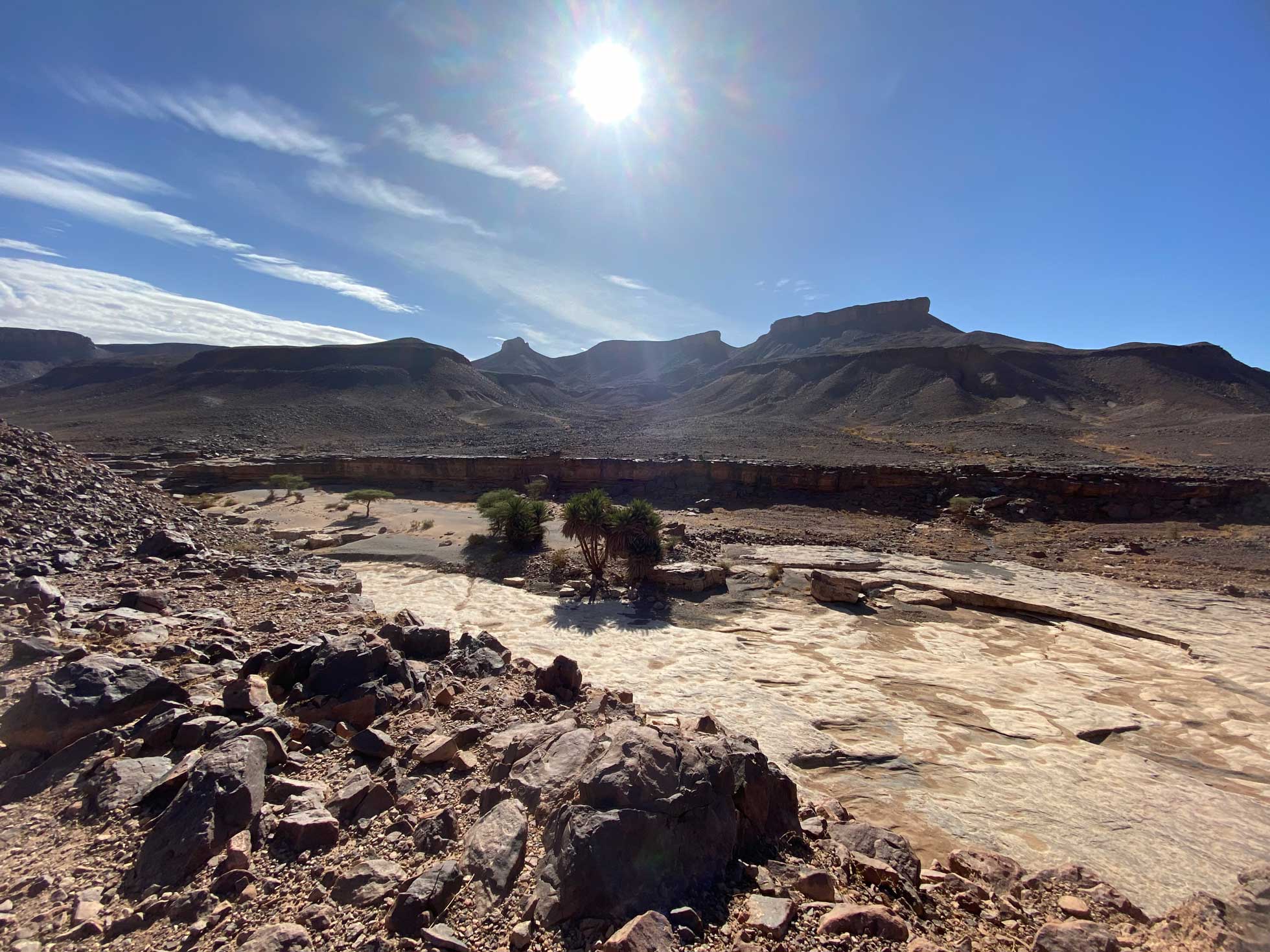 wüstensonne Stefanie Schmidt schaut entspannt in den Sonnenuntergang